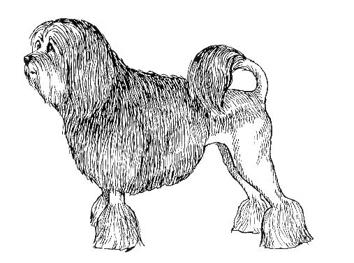 UKC Breed Standards: Lowchen