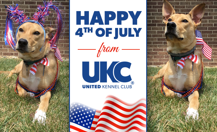 UKC 4th of July