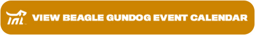 Beagle Gundog button