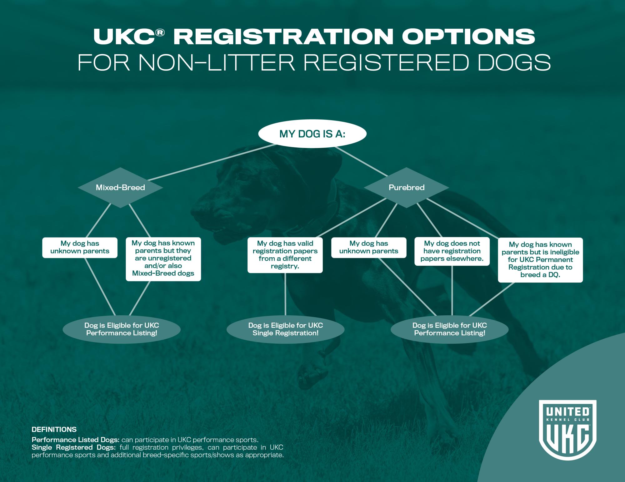 can i register my dog with ukc online