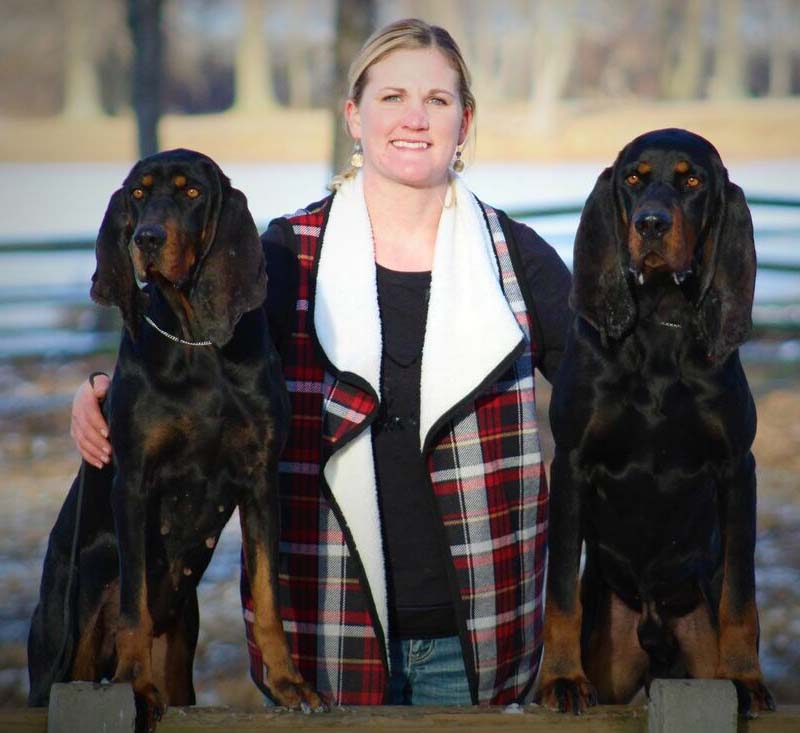 coonhound bench show