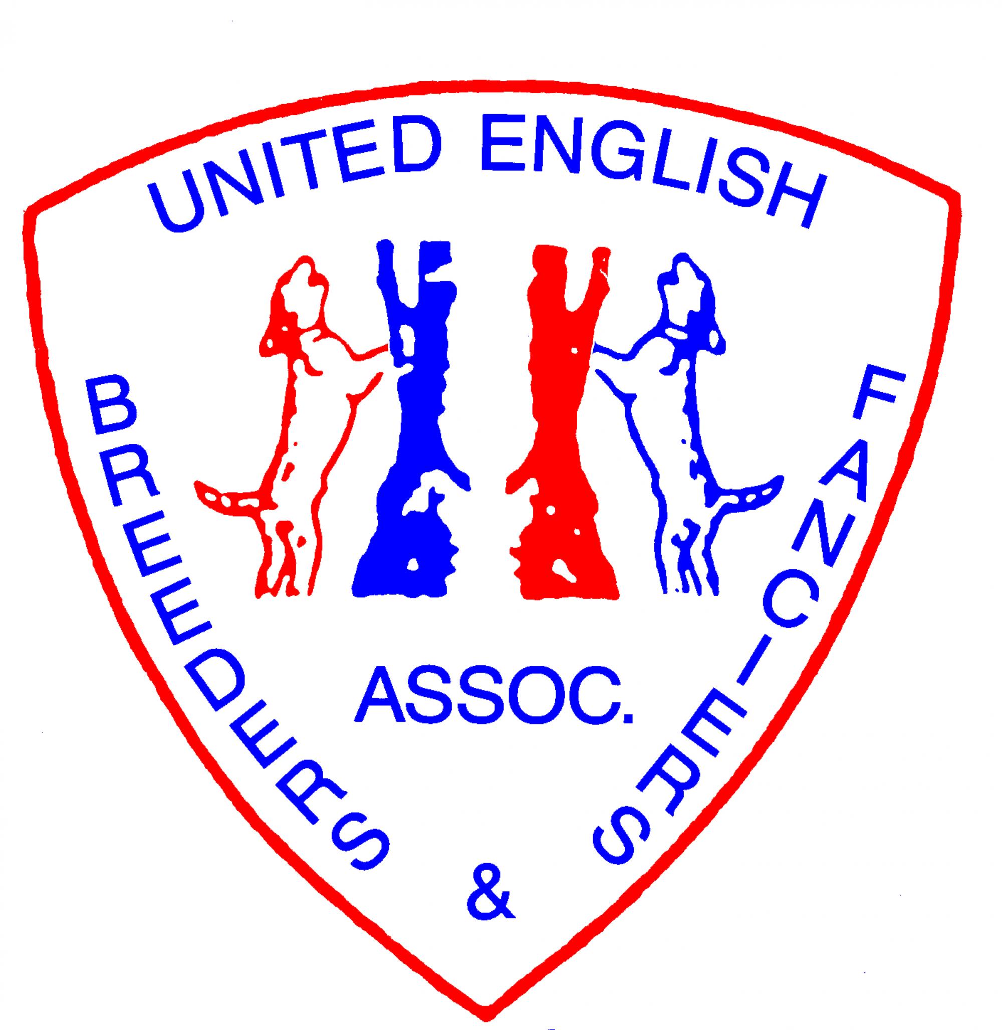 UEBFA logo