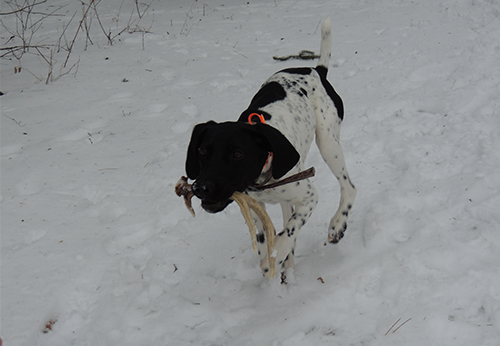 Shed Hunting Photo Credit John Beyer