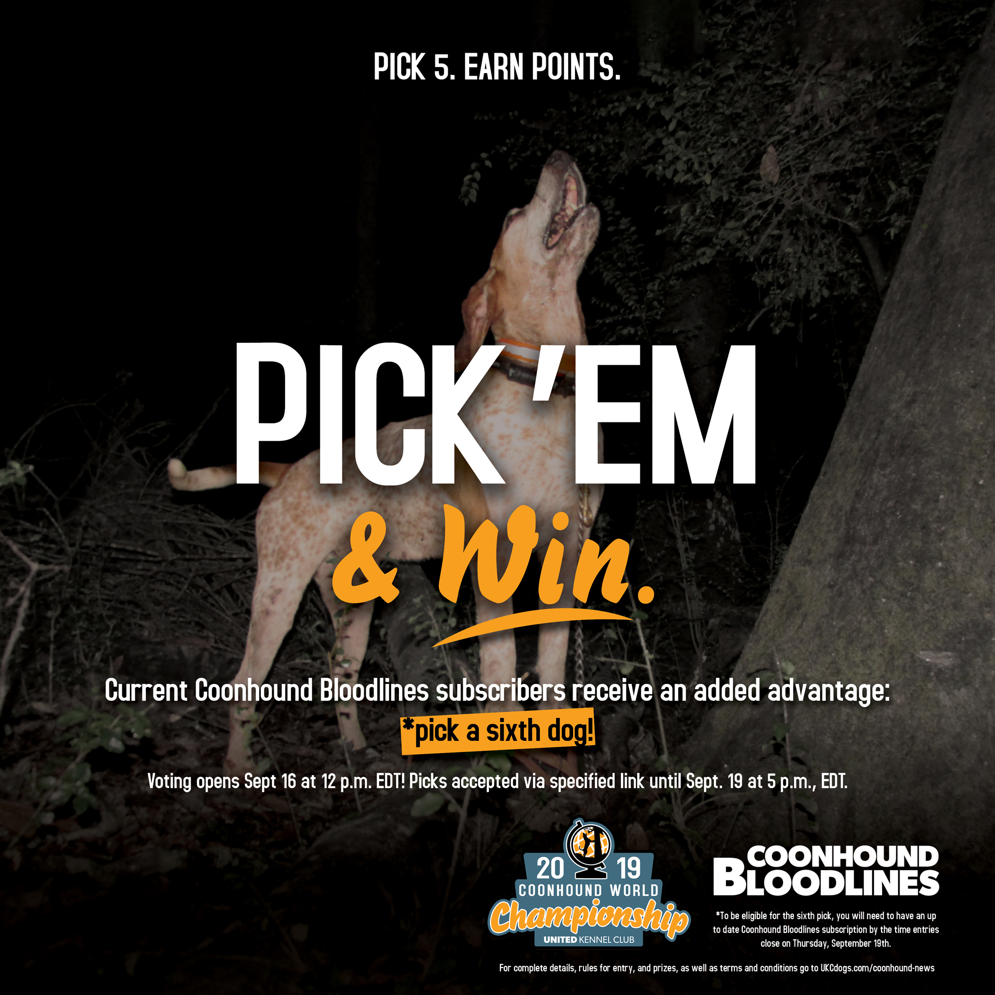 Coonhound Bloodlines World Pick Contest