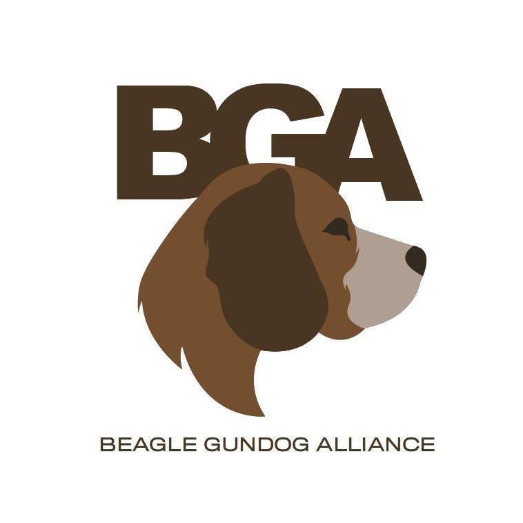 BGA logo