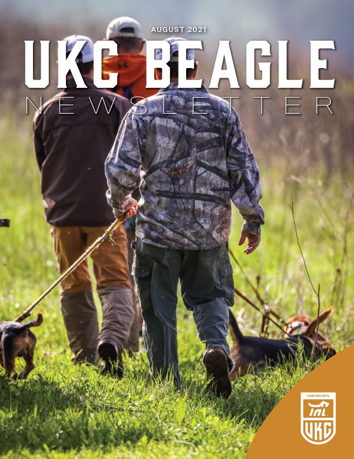 Beagle Newsletter August 2021
