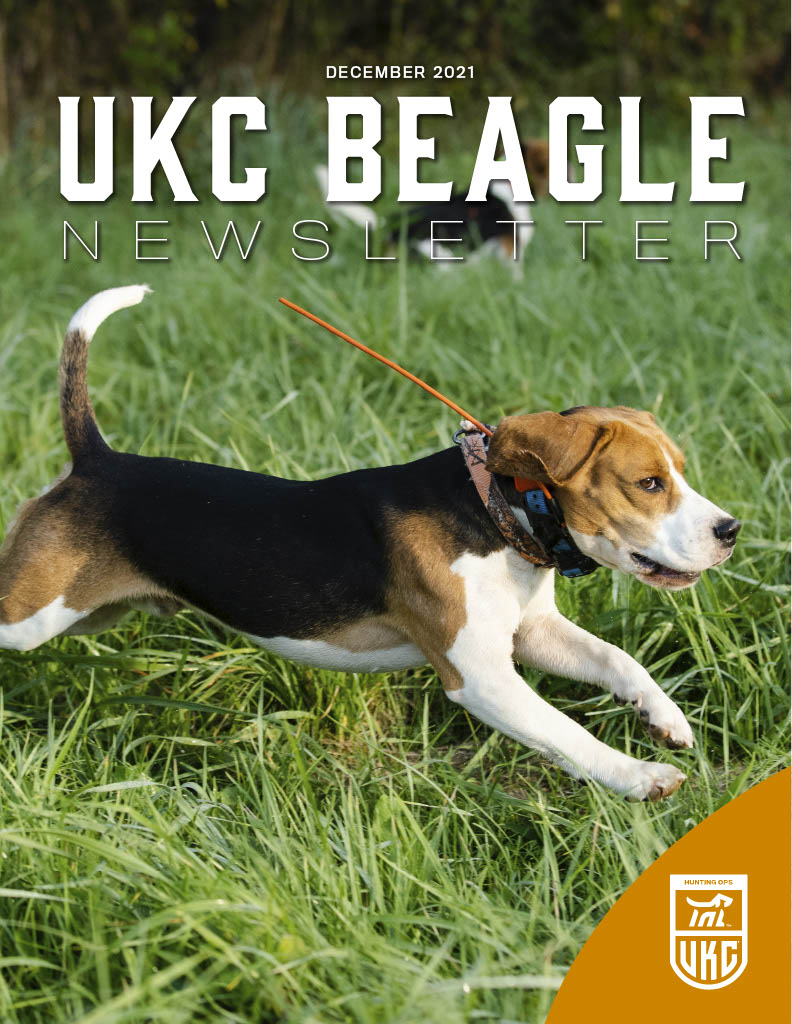 December 2021 Beagle Newsletter