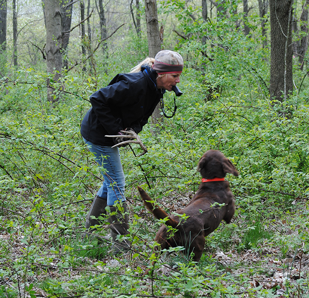 Dog and Handler at Elite Shed Dog Series Event