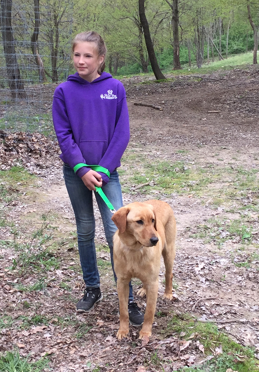 Youth Handler Attending an Elite Shed Dog Series Event