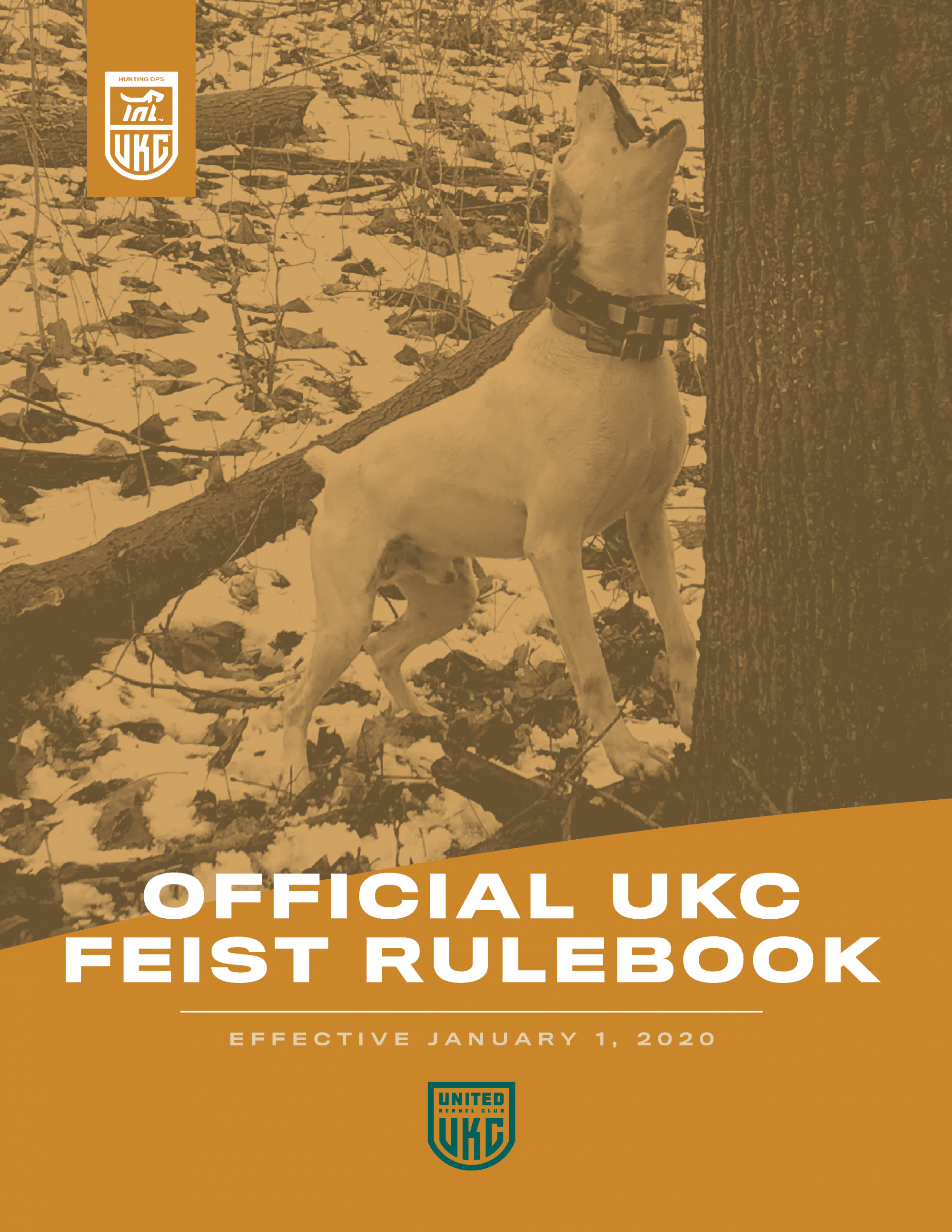 ukc squirrel hunts