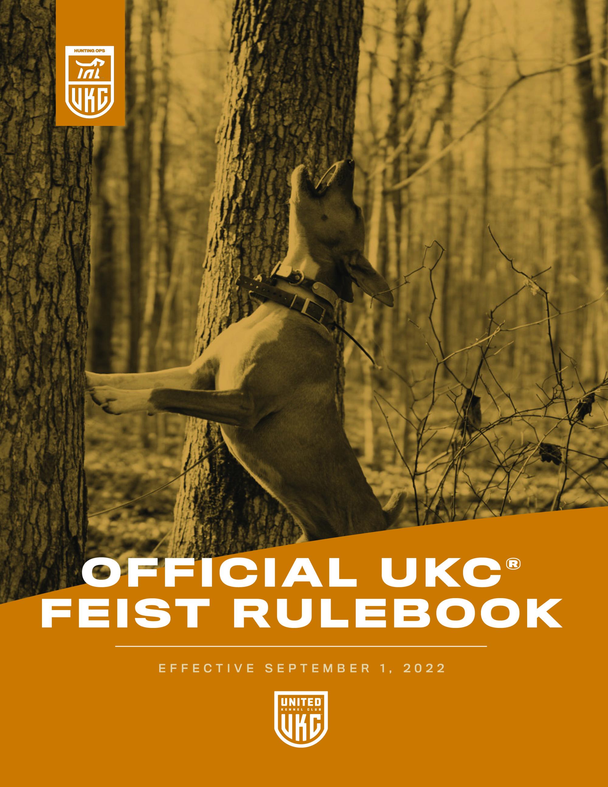 Feist Rulebook Cover