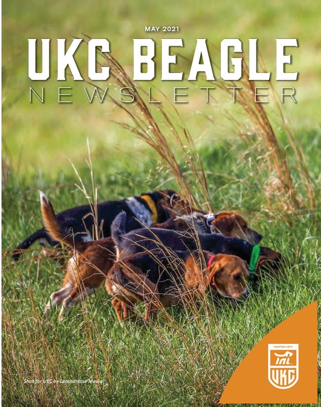 May Beagle Newsletter Cover