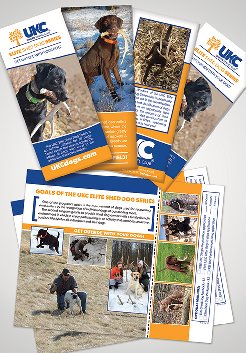 Elite Shed Dog Series Brochures