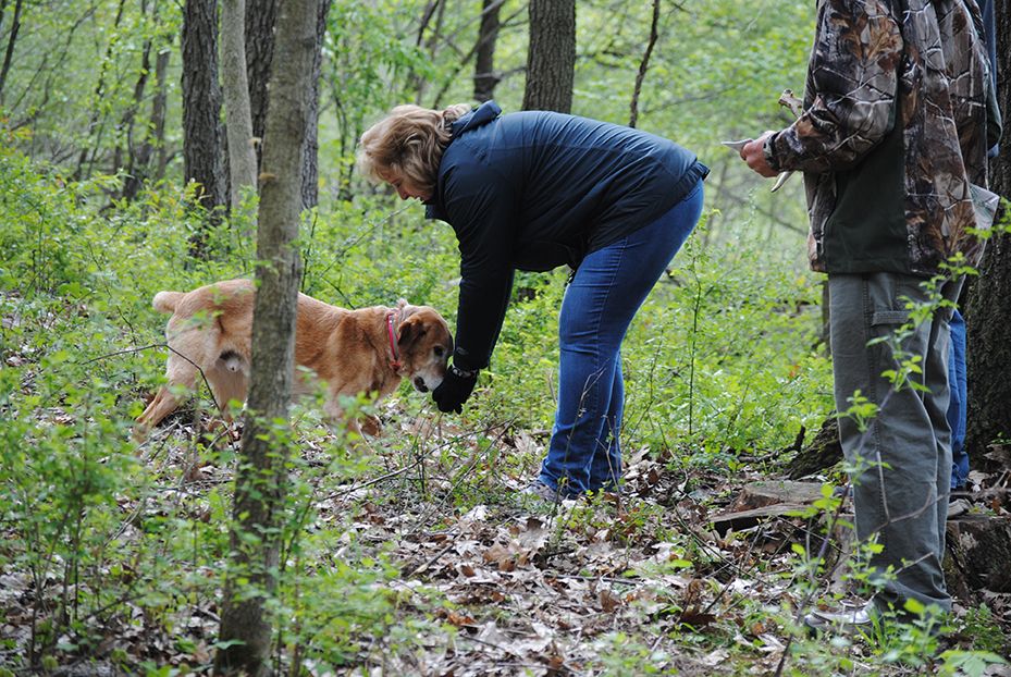 A Successful Retrieve