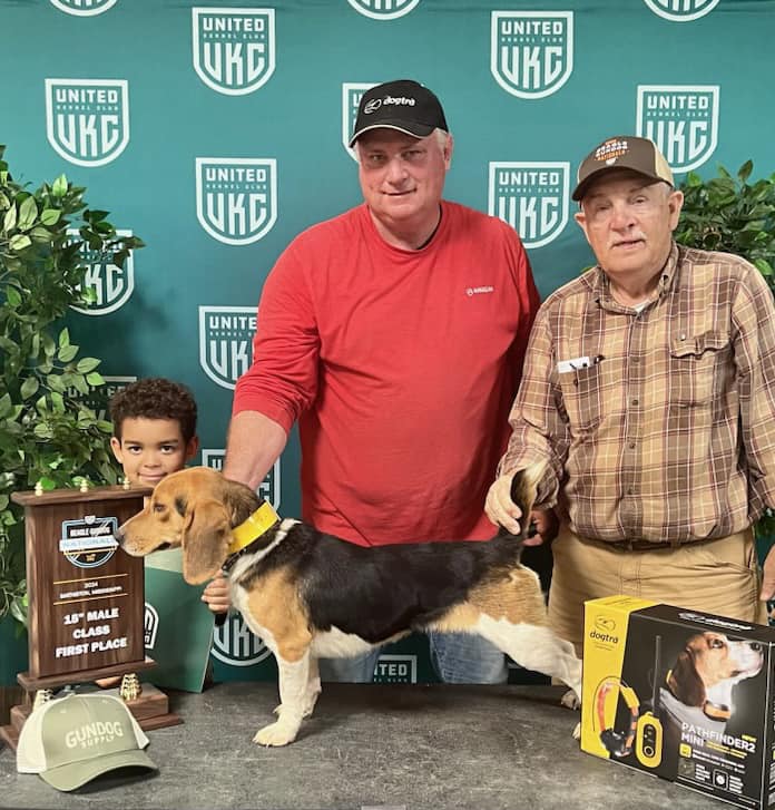 Beagle Gundog 15 Inch Male Winner 2024