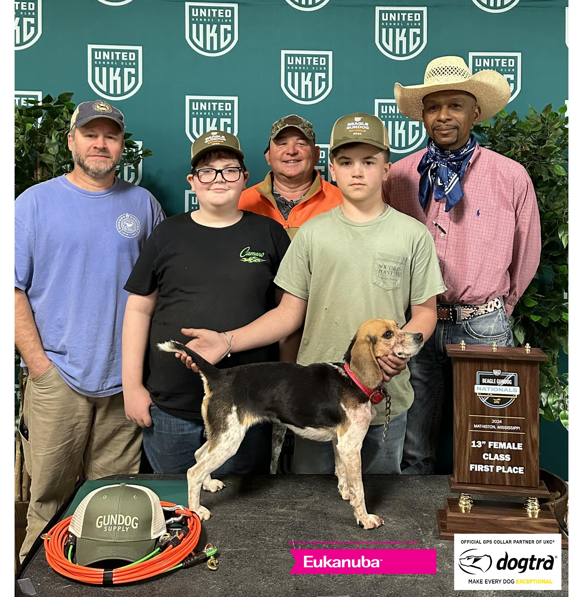 Beagle Gundog 13 Inch Female Winner 2024