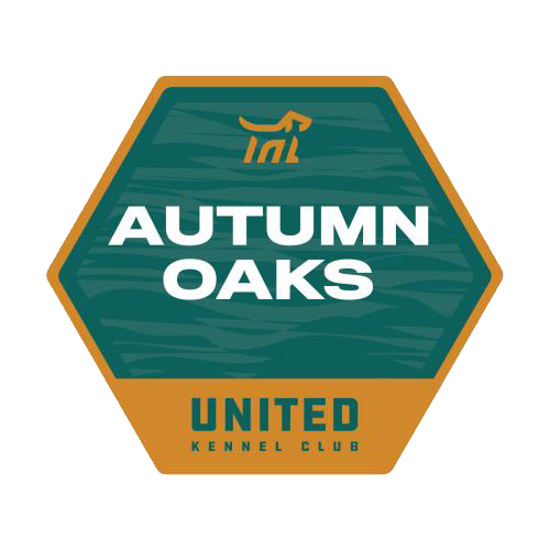 Autumn Oaks