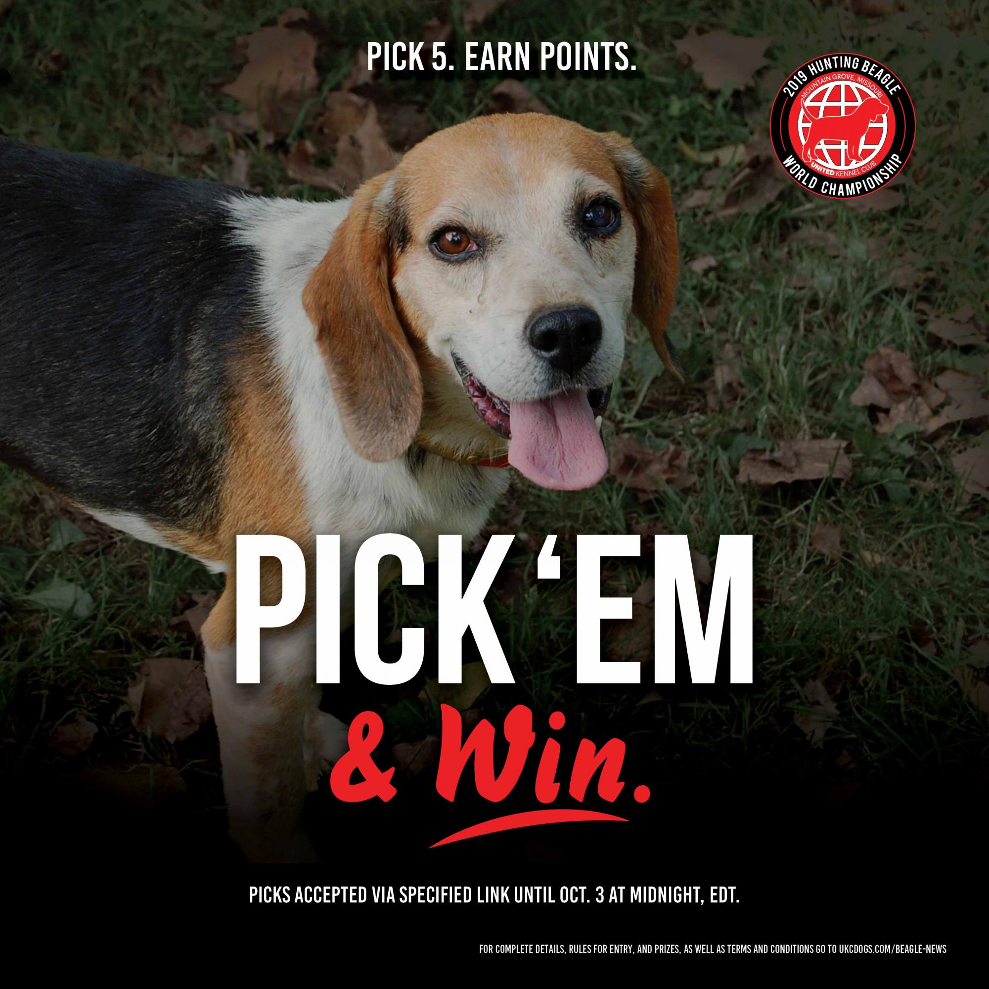 Beagle World Pick