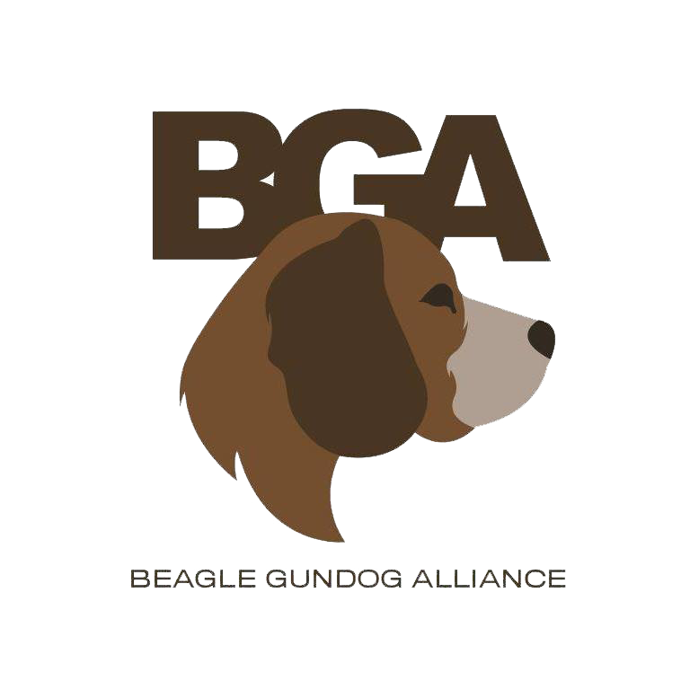 Gundog Brace National Championship - UKC