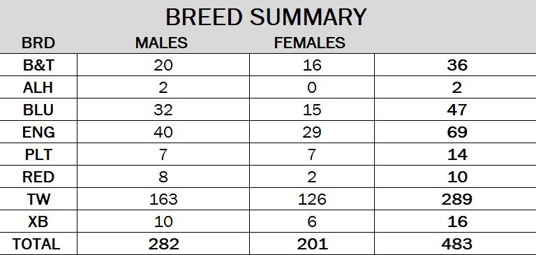 Coonhound World Zone Entry Breakdown 2022