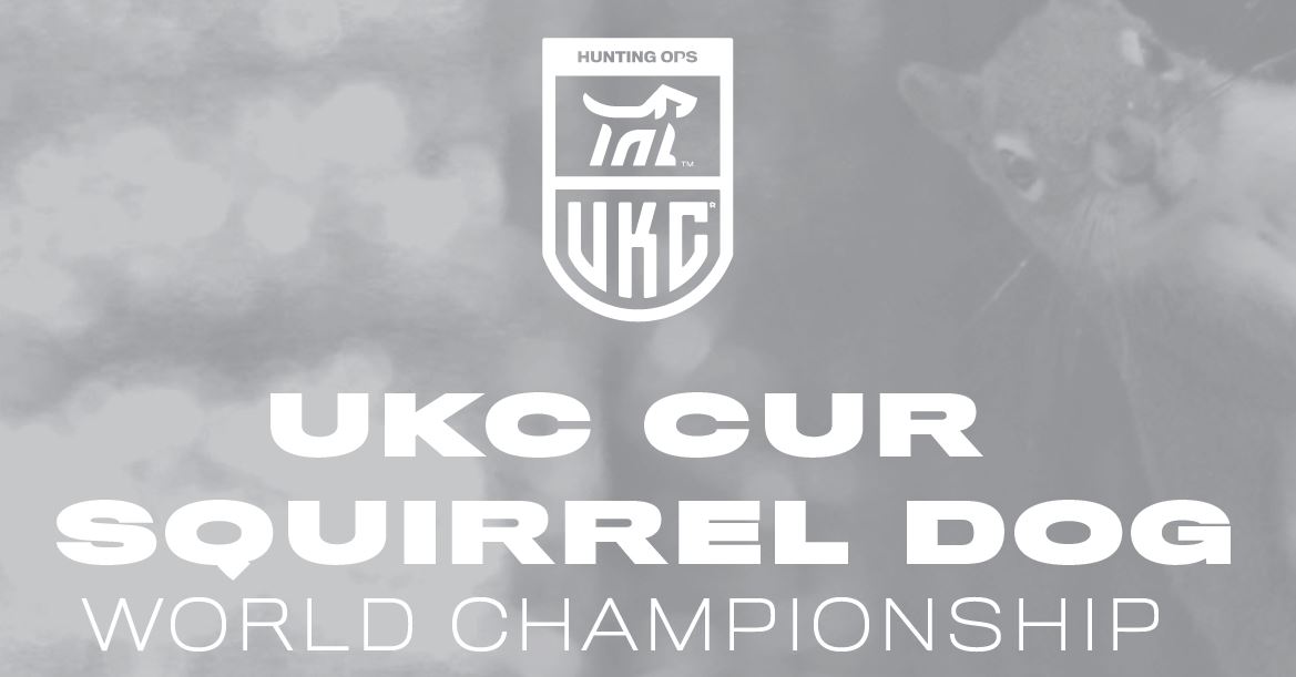 Cur World ad