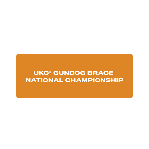 UKC Gundog Brace National Championship