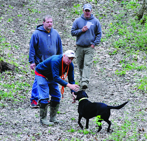 A Labrador Retriever delivers a shed to hand.