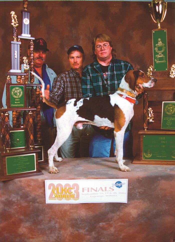Coonhound World Championship Historical Winners List United Kennel