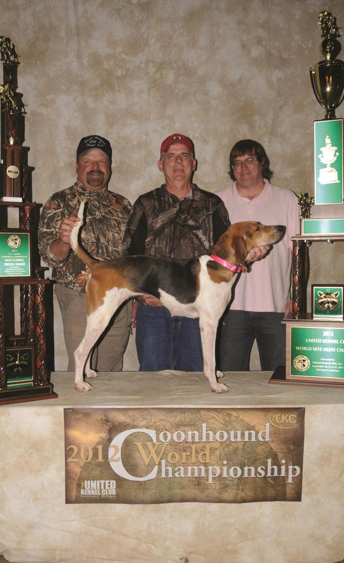 Coonhound World Championship Historical Winners List United Kennel