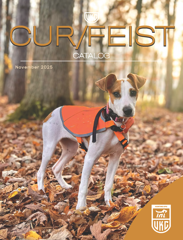 Cur/Feist Catalog November 2025