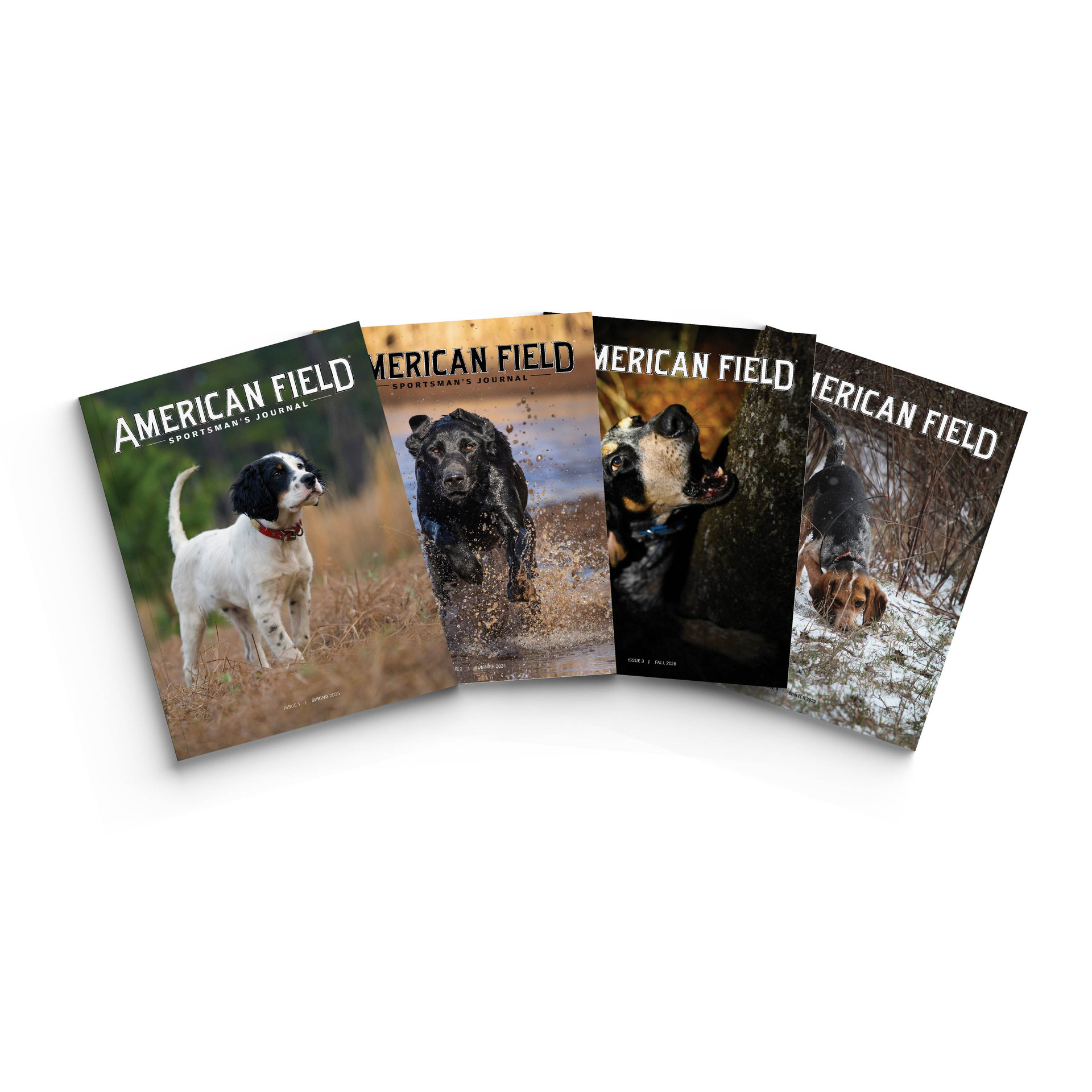 American Field Covers