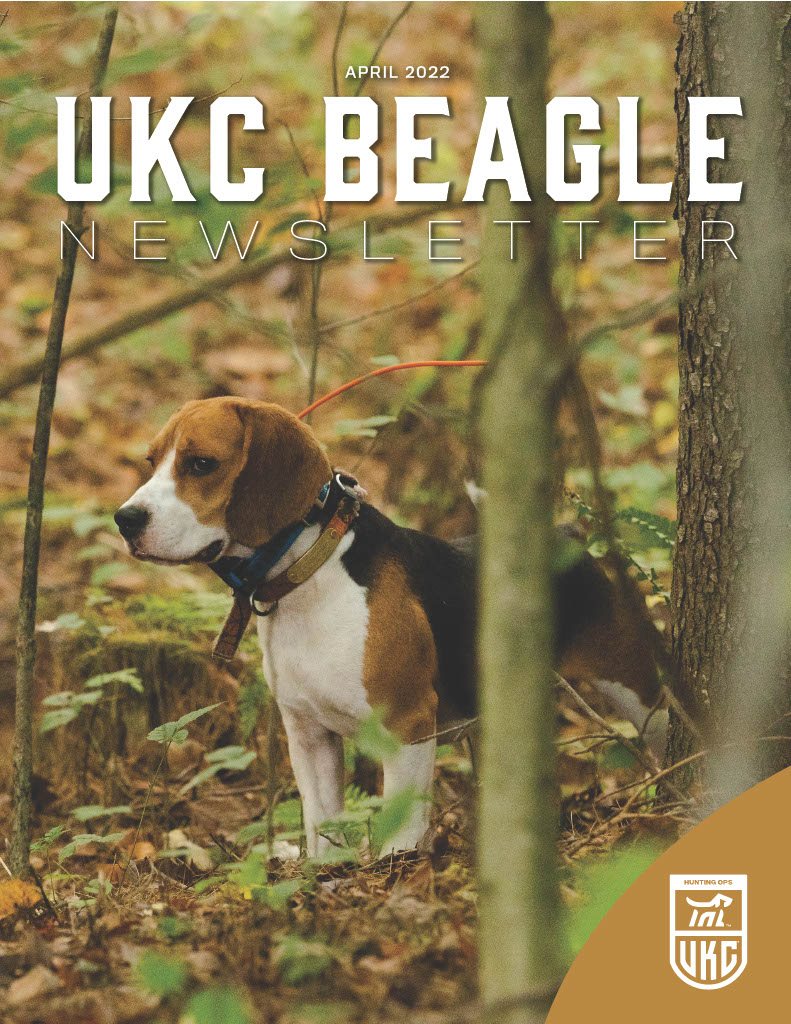 Beagle Newsletter April 2022