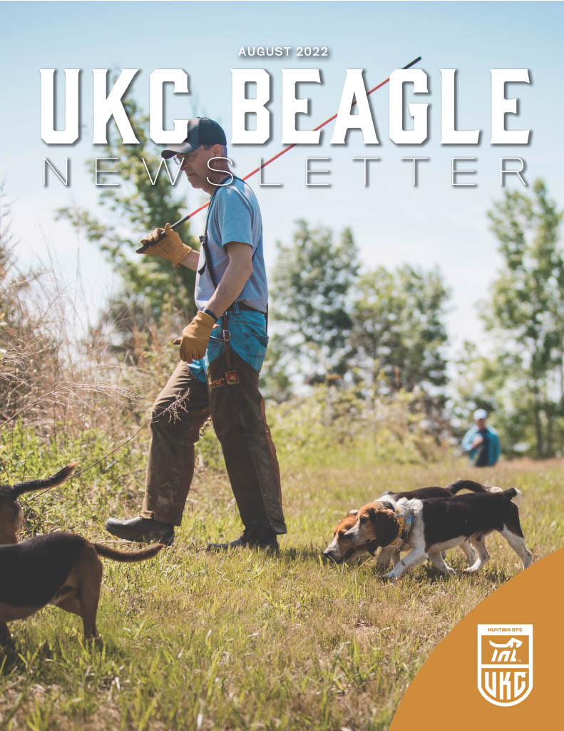 Beagle Newsletter August 2022