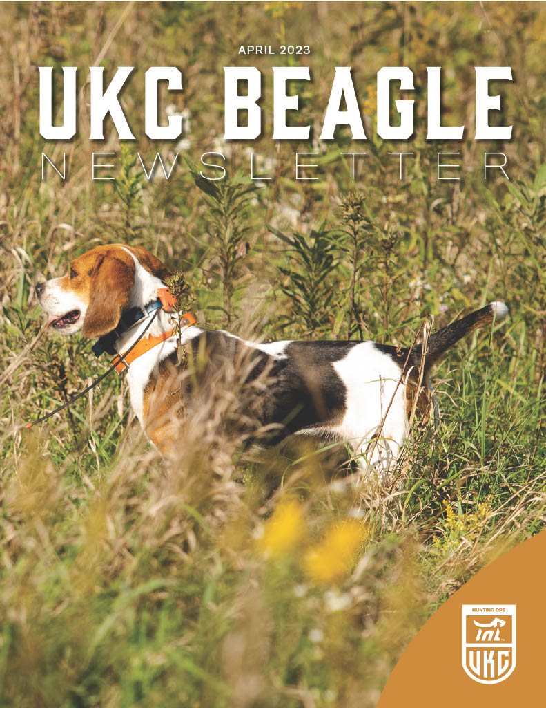 Beagle Newsletter April 2023 Cover