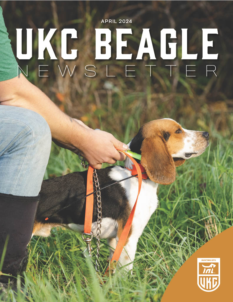 Beagle Newsletter April 2024