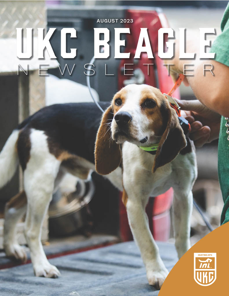 August 2023 Beagle Newsletter