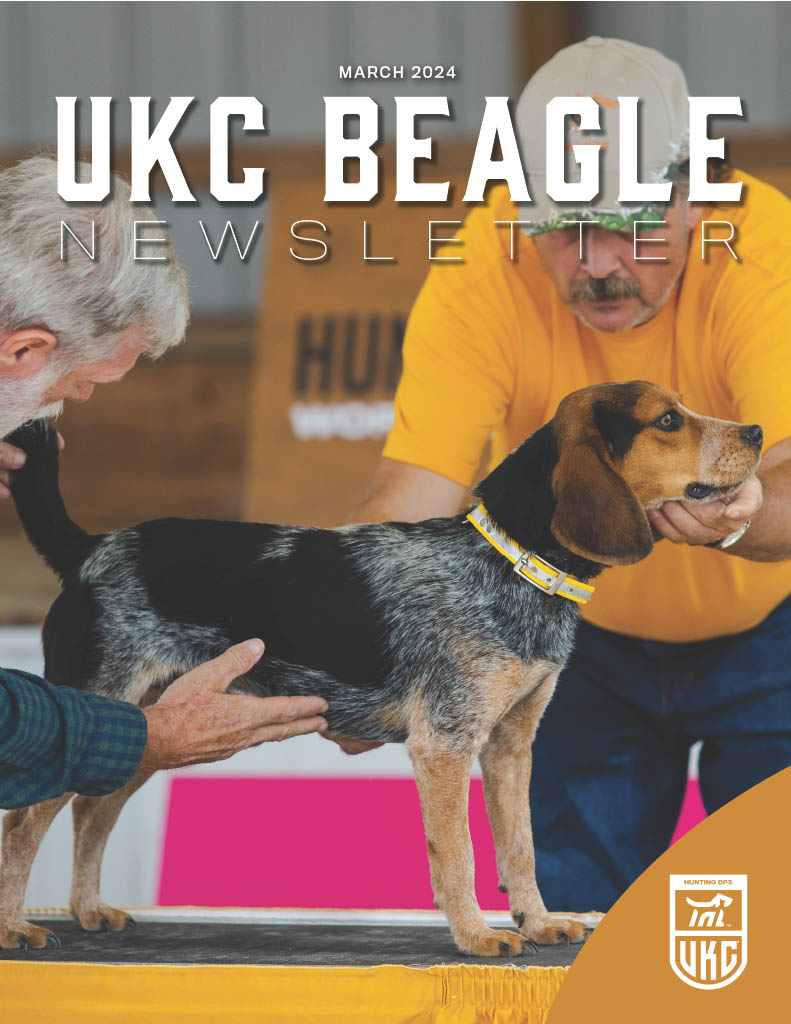 Beagle Newsletter March 2024