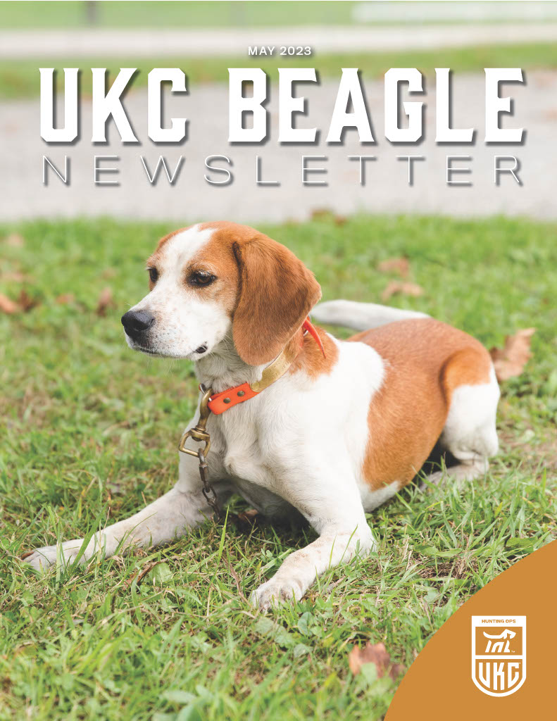 Beagle Newsletter May 2023 Cover