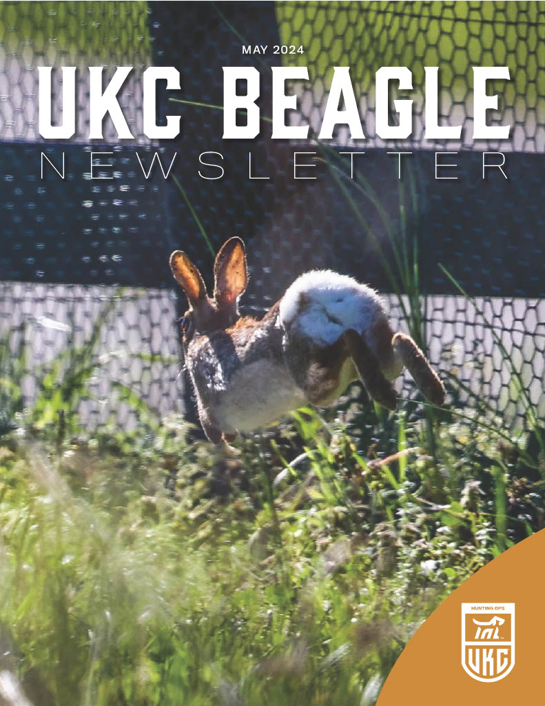 Beagle Newsletter May 2024