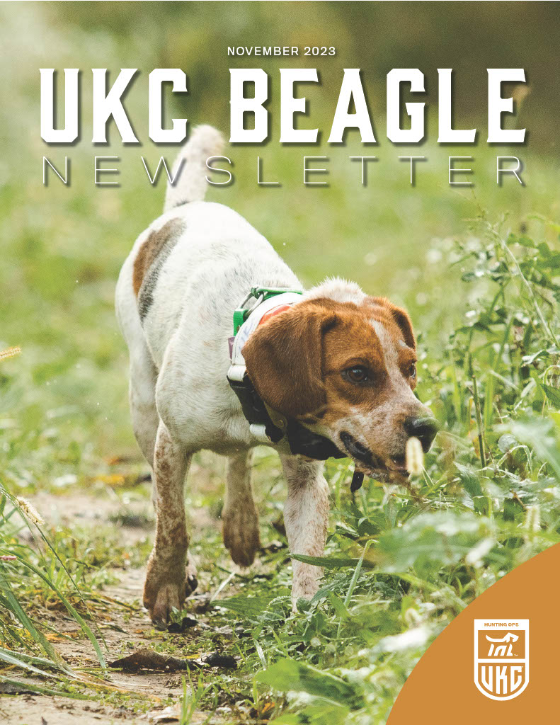November 2023 Beagle Newsletter