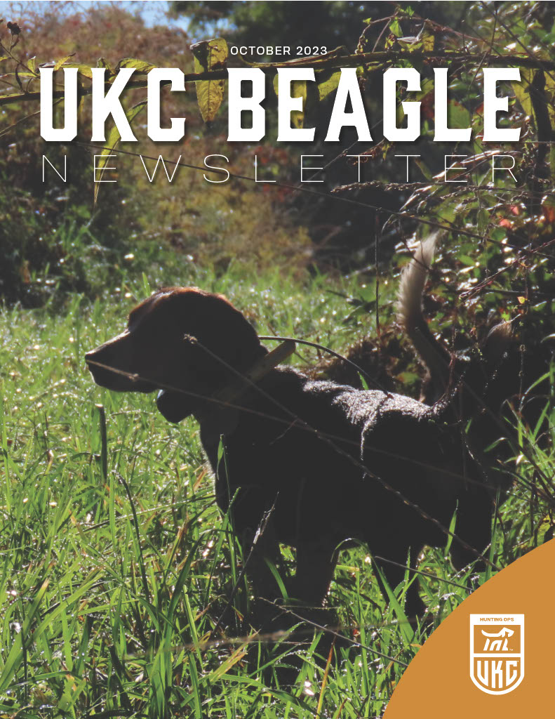 October 2023 Beagle Newsletter