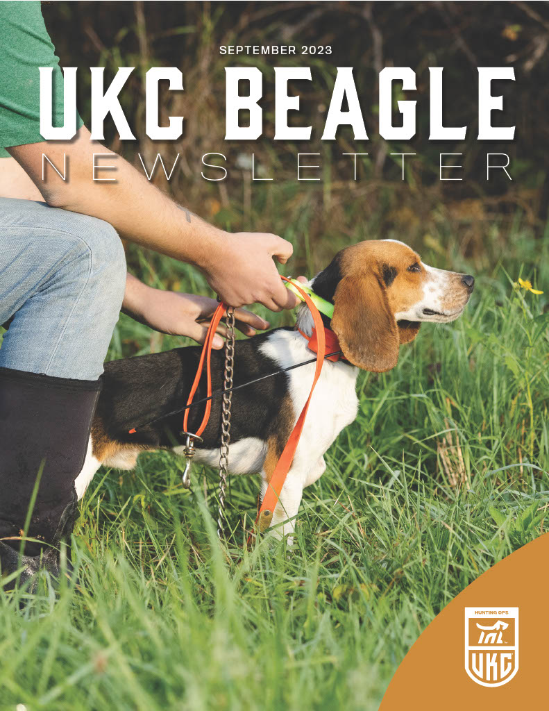 September 2023 Beagle Newsletter