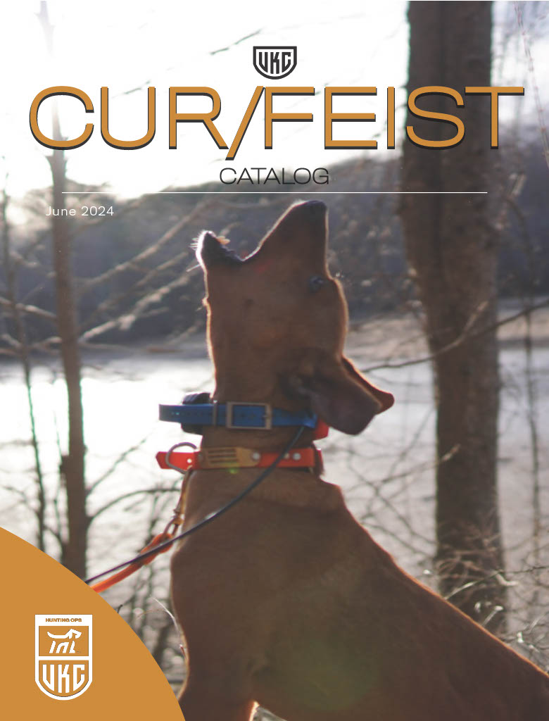 Cur Feist Catalog June 2024 Cover