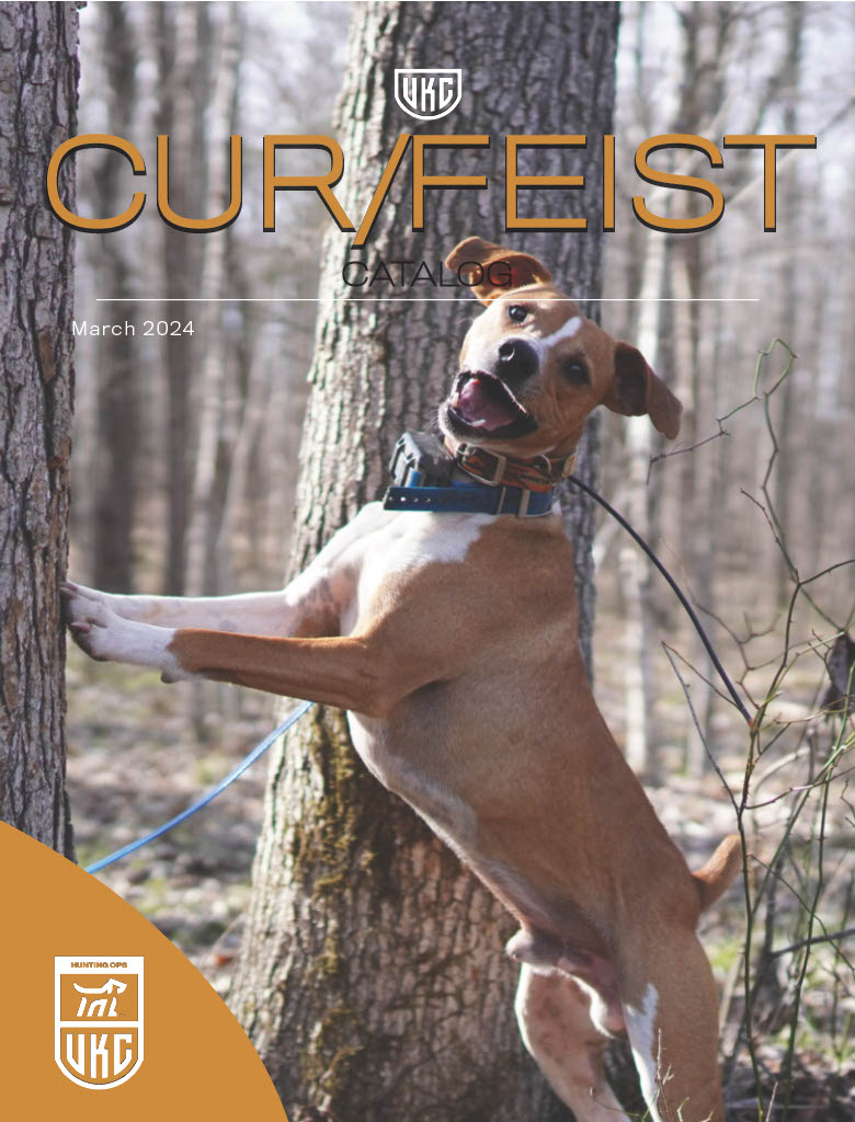 Cur Feist Catalog March 2024 Cover