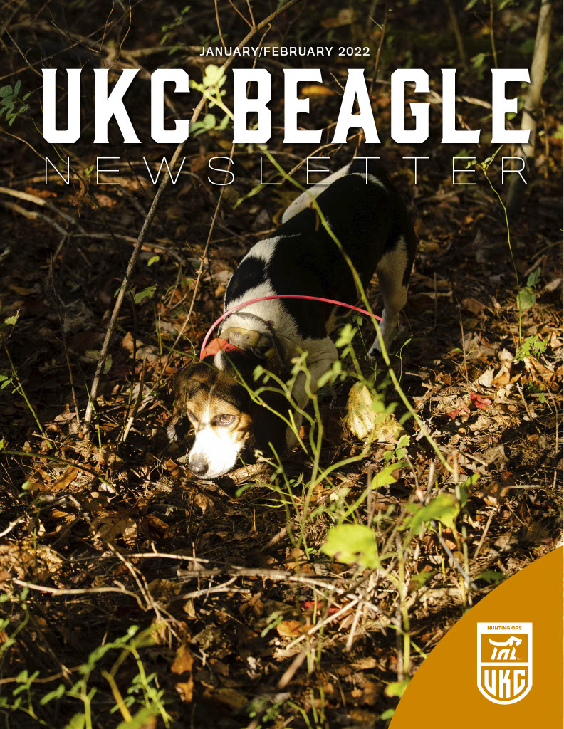 January February 2022 Beagle Newsletter Cover