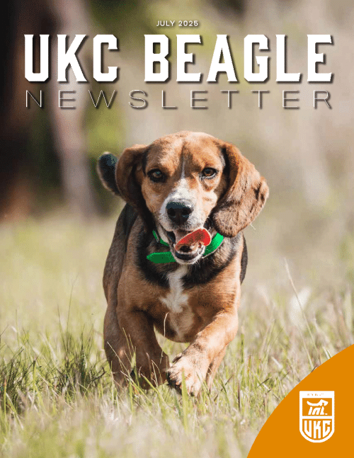 Beagle Newsletter July 2025 Cover