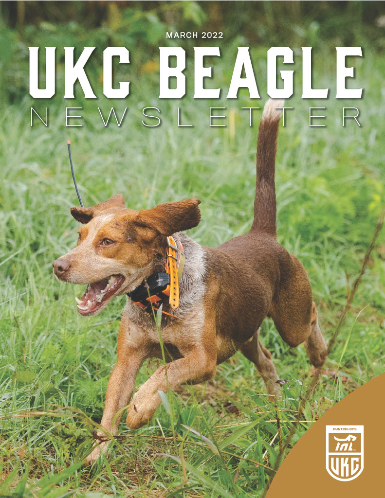 March 2022 Beagle Newsletter