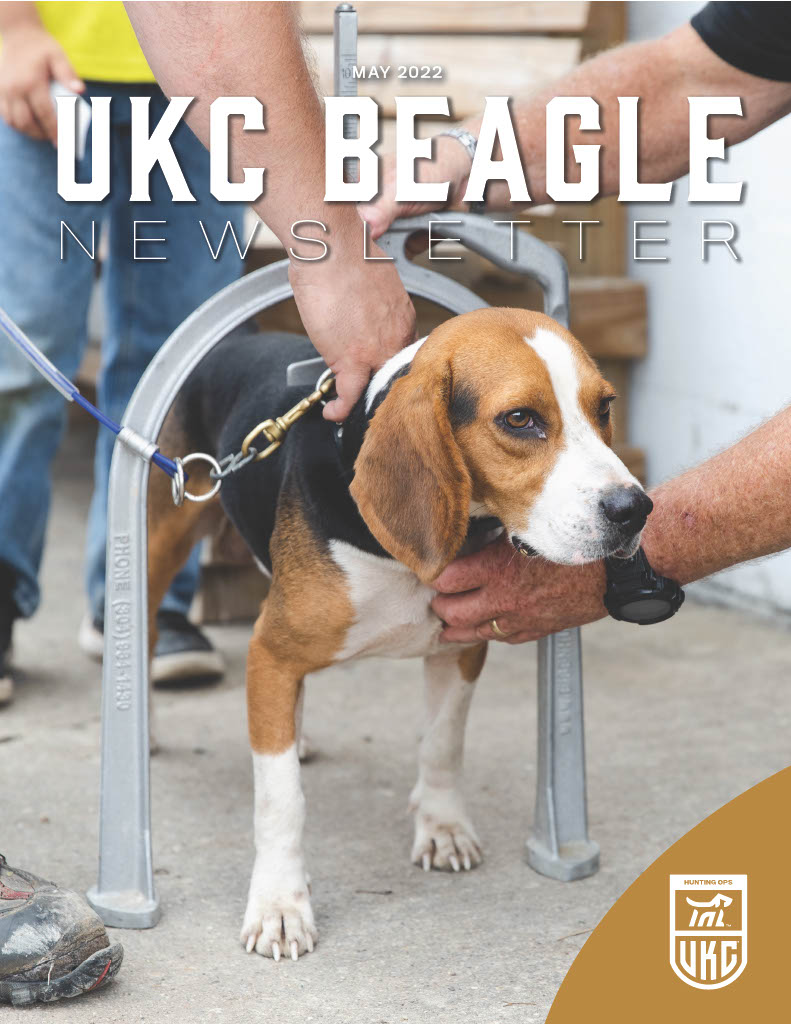 May 2022 Beagle Newsletter