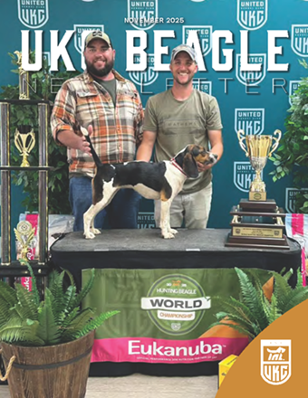UKC Beagle Newsletter FC - November 2025