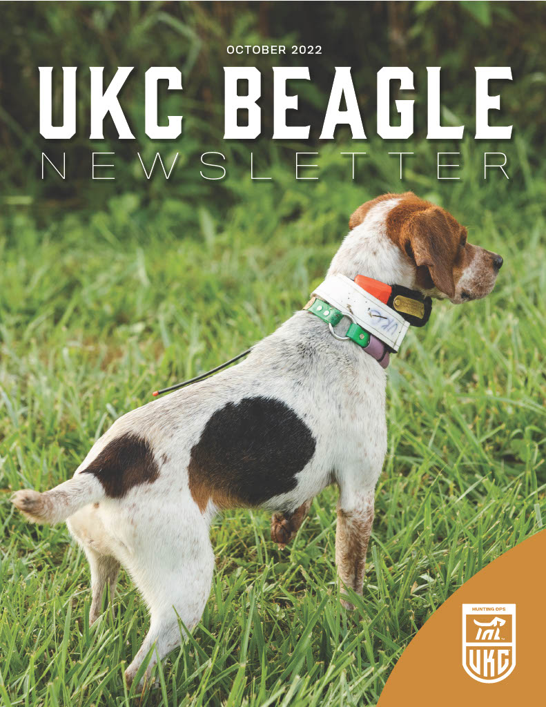 Beagle Newsletter Cover October 2022